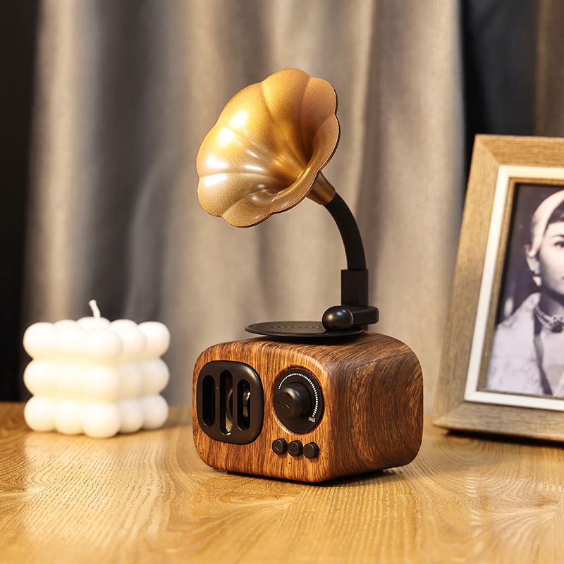 WhatsApp Image 2023-09-06 at 08.29.37 Vintage Style gramaphone speker