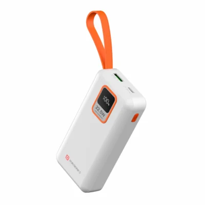 Portronics 10000 mAh Power Bank
