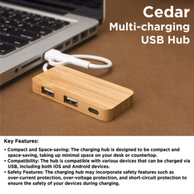 Cedar multi-charging USB Hub