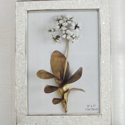 german silver frame
